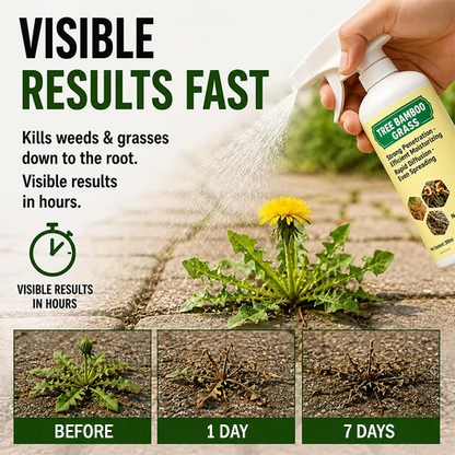 ⚡⚡⚡LAST 44 PCS LEFT!!! 🔥2026 SALE - Fast-Acting Natural Weed & Grass Killer Spray (Copy)