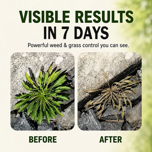 ⚡⚡⚡LAST 44 PCS LEFT!!! 🔥2026 SALE - Fast-Acting Natural Weed & Grass Killer Spray (Copy)
