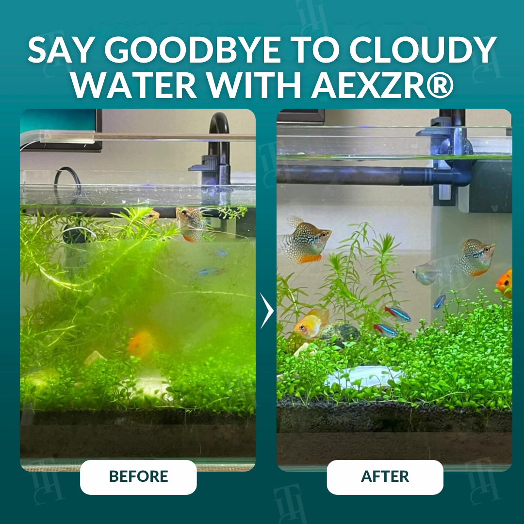 ✨ From Cloudy & Toxic to Crystal Clear! | ⏱️ Instantly Safe for Your Fish in Seconds! | AEXZR® Aquariums Aqua-Guardian Blend