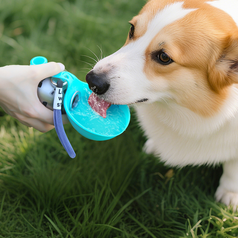 🐾 Foldable Pet Water Bottle for Travel – Portable Stainless Steel Hydration Bottle with Silicone Bowl